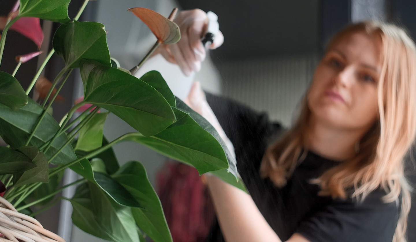 Unified Customer Engagement preview