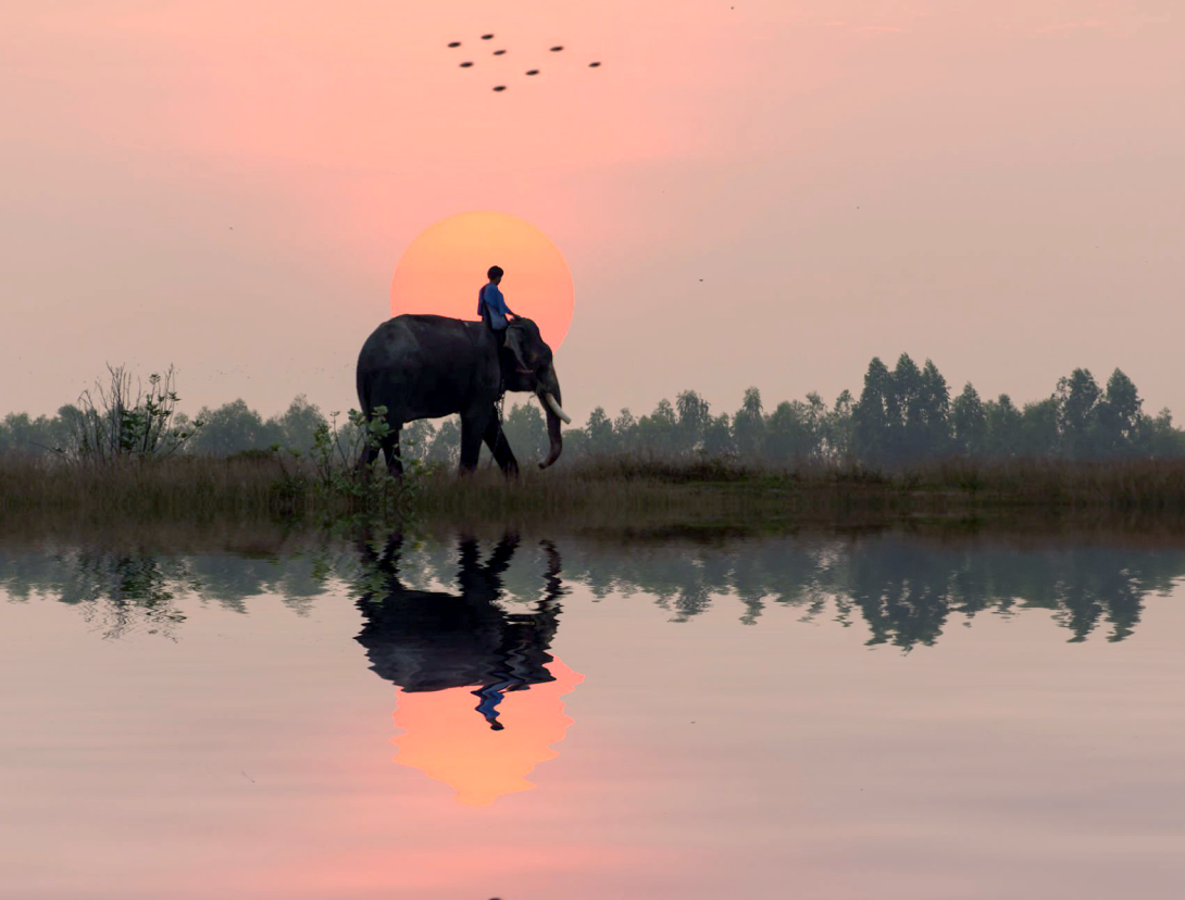 Internal Tools to Manage Vouchers preview