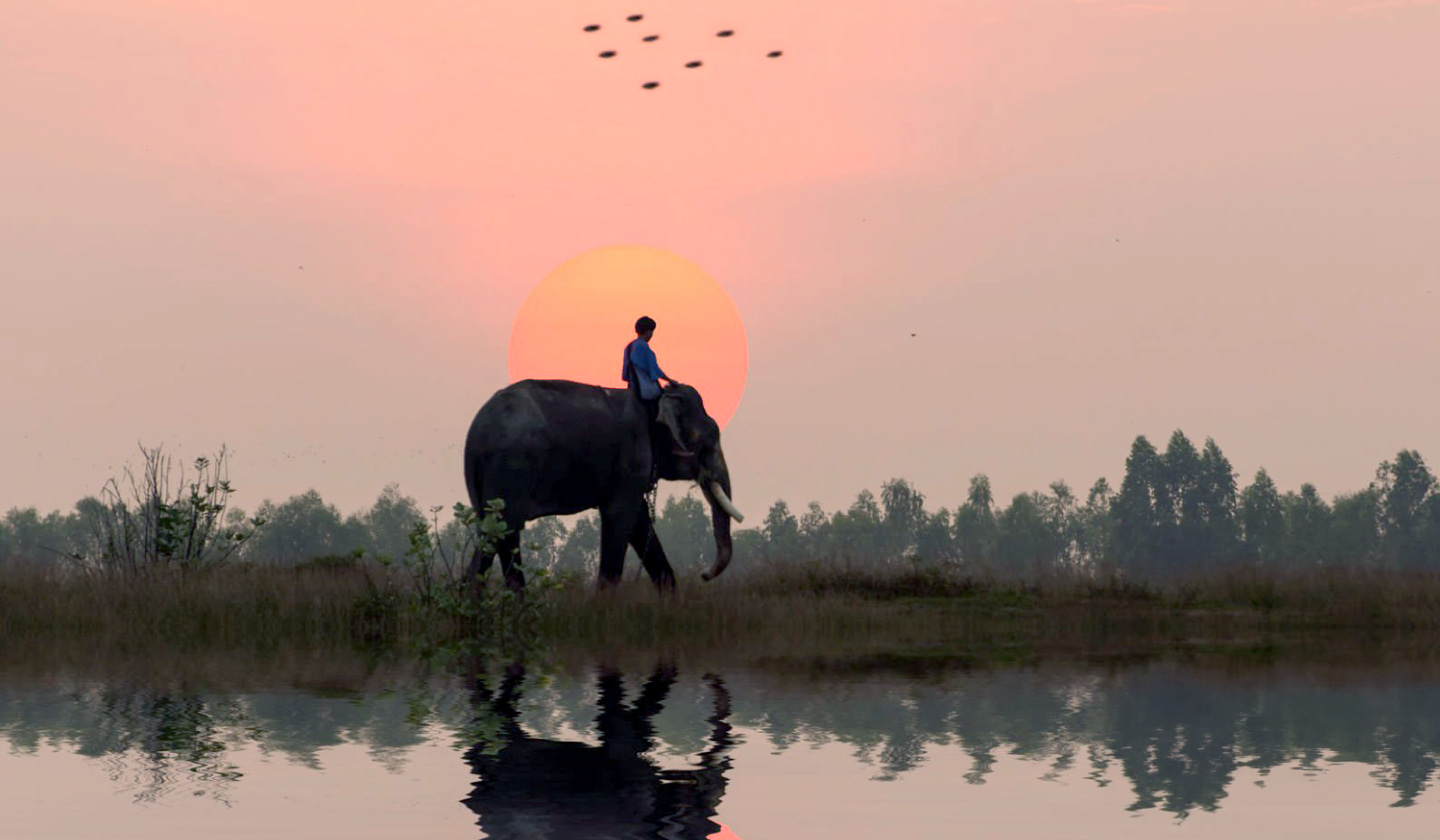 Internal voucher management software for a travel operator preview