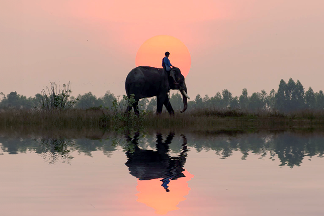 Internal Tools to Manage Vouchers preview