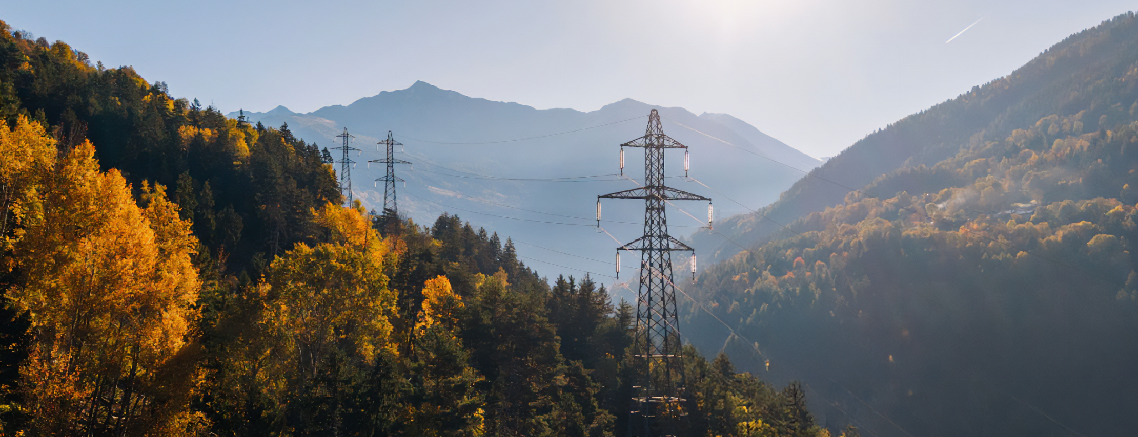 Scalable Marketing Ecosystem