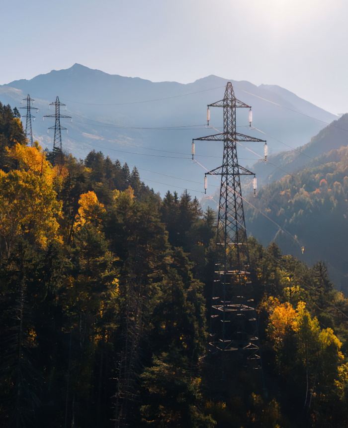 Scalable Marketing Ecosystem preview